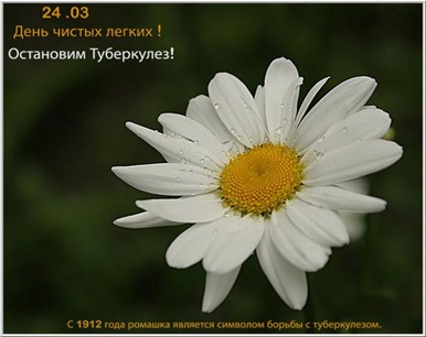 24_marta 1