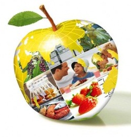 apple_globe-codex.jpg
