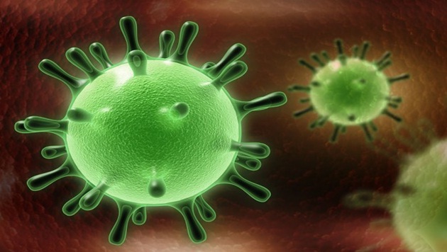coronavirus 2