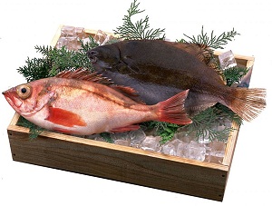 fish