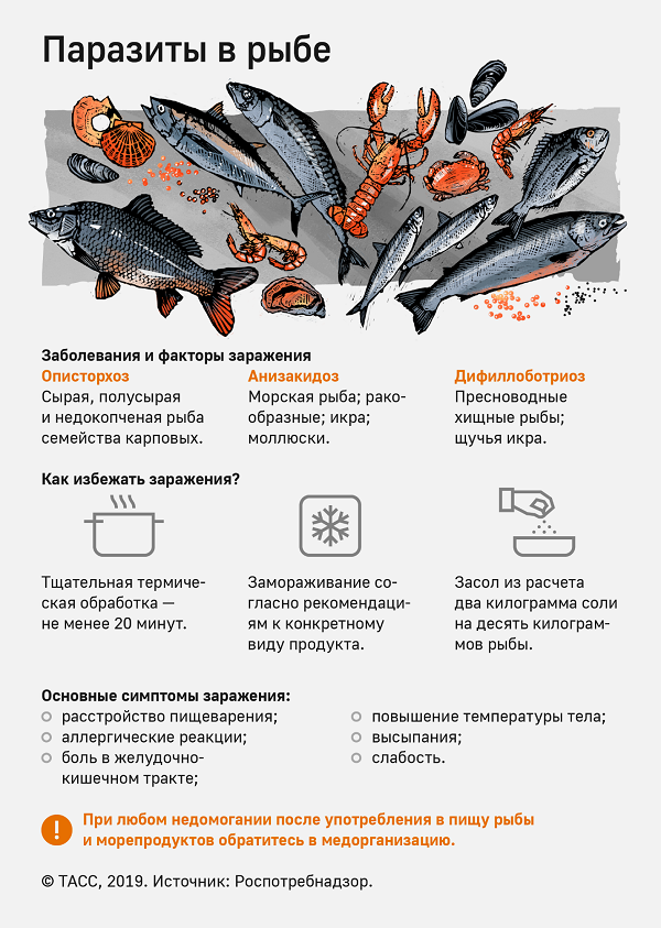 fish_paraz
