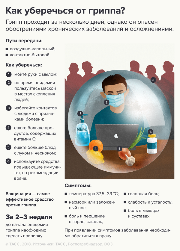 gripp_01.02.2019