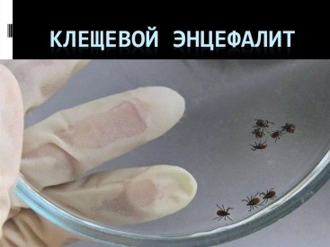 Klesh_10