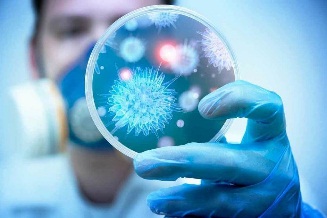 polio_2019_1