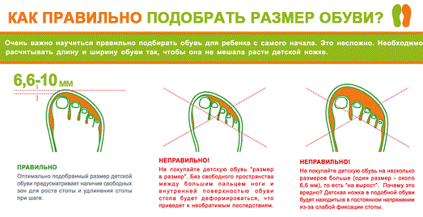razmer_obyvi