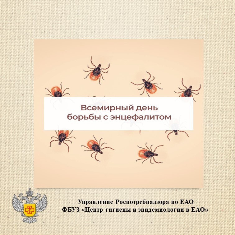 мтапр